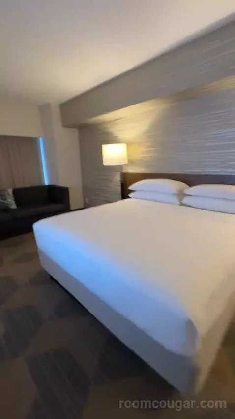 Executive Suite, 1 King Bed, Sofa Bed bed picture #8