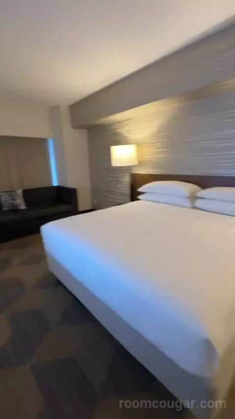 Executive Suite, 1 King Bed, Sofa Bed bed picture #9