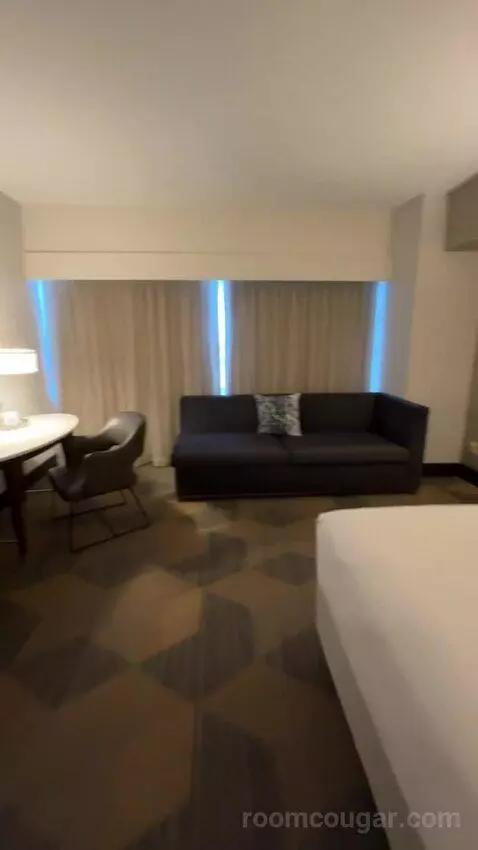Executive Suite, 1 King Bed, Sofa Bed bed picture #10