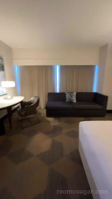 Executive Suite, 1 King Bed, Sofa Bed bed picture #11