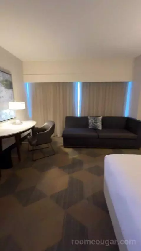 Executive Suite, 1 King Bed, Sofa Bed bed picture #12