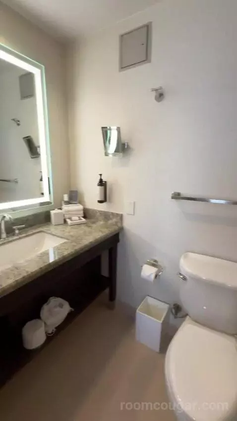 Fairmont Gold King Suite with City View bathroom picture #9