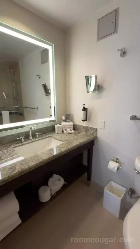 Fairmont Gold King Suite with City View bathroom picture #11