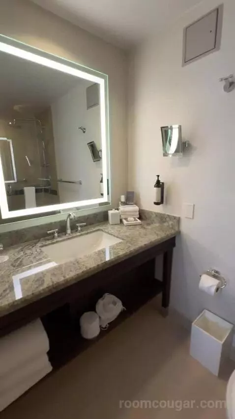 Fairmont Gold King Suite with City View bathroom picture #12