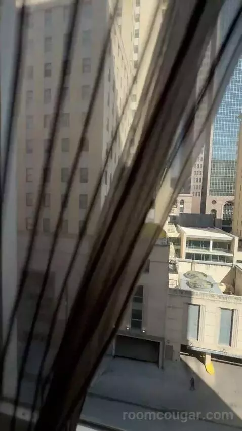 King Room view picture #10