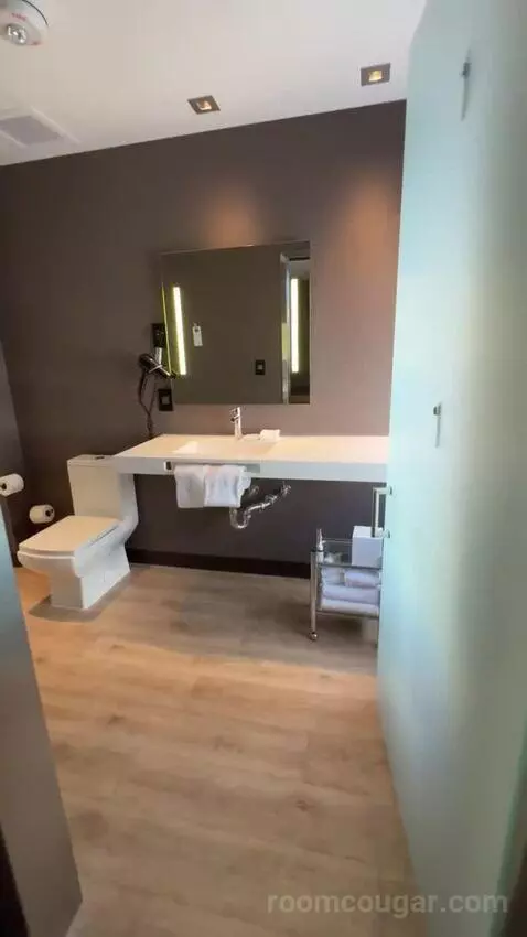 King Room bathroom picture #4