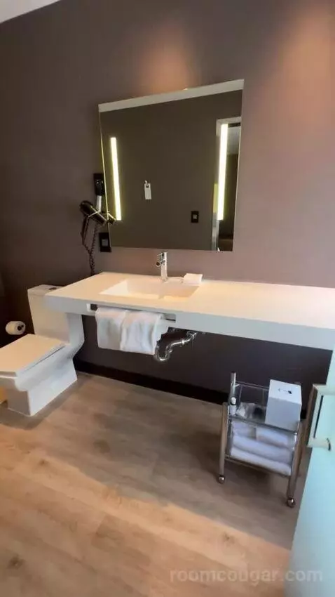 King Room bathroom picture #5