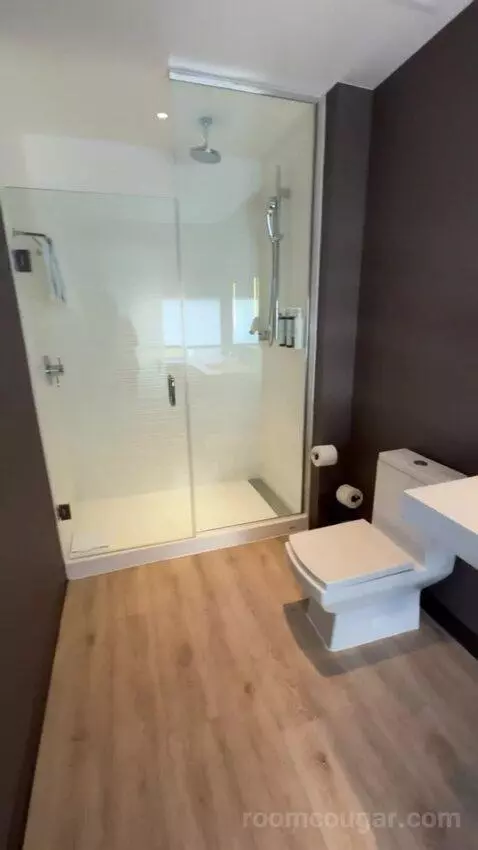 King Room bathroom picture #10