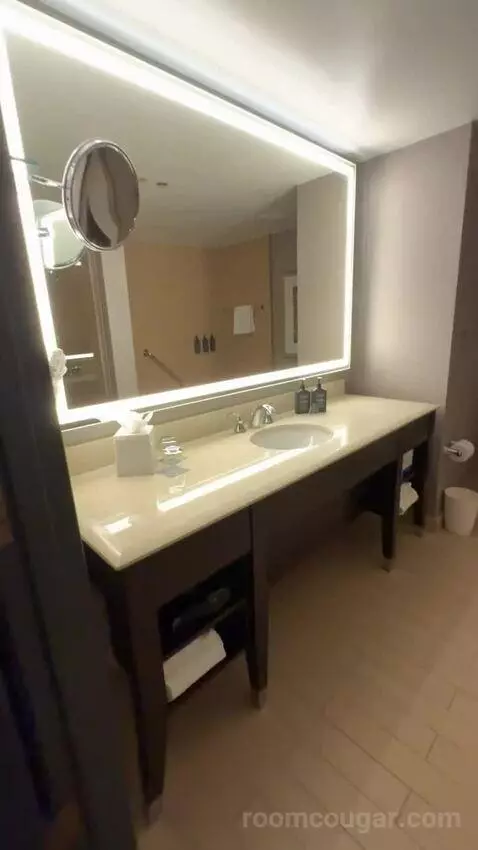 Hospitality Presidential Suite bathroom picture #1