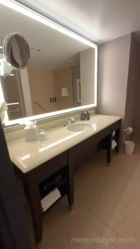 Hospitality Presidential Suite bathroom picture #2