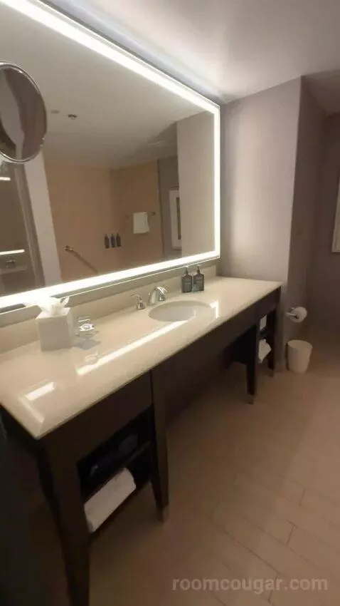 Hospitality Presidential Suite bathroom picture #3