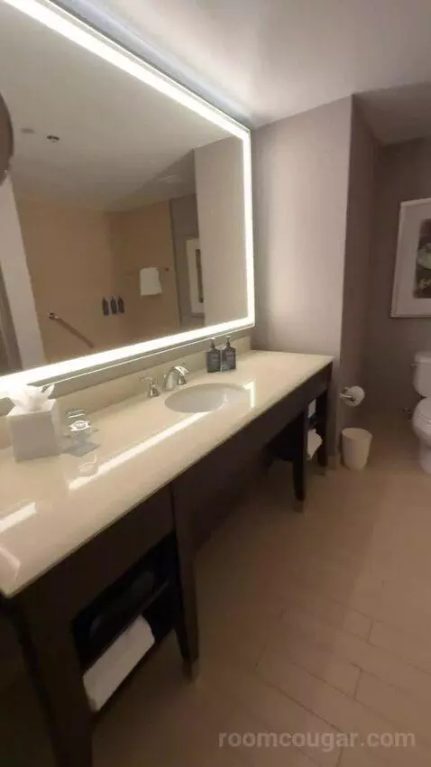 Hospitality Presidential Suite bathroom picture #4