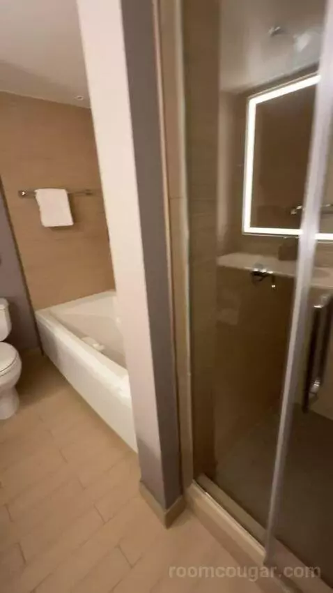 Hospitality Presidential Suite bathroom picture #8