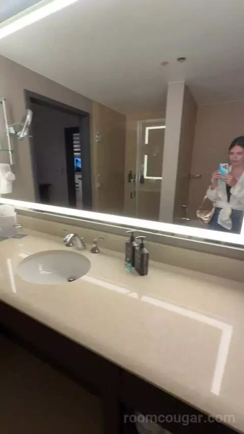 Hospitality Presidential Suite bathroom picture #12