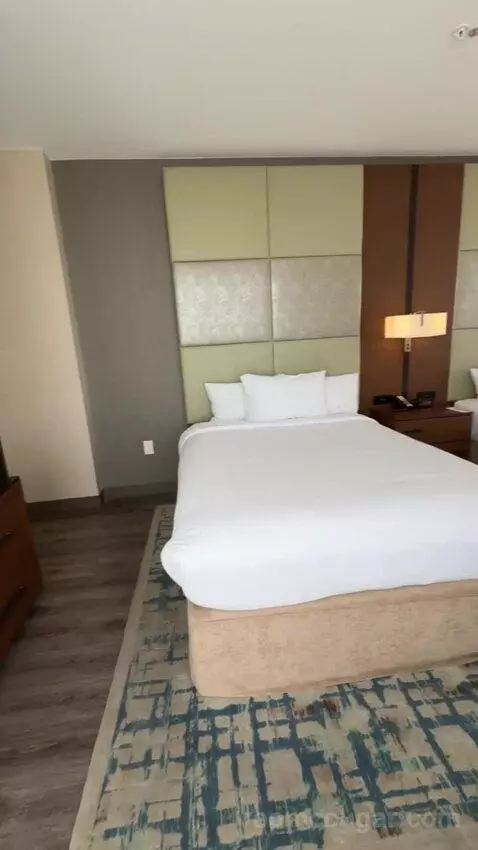 One-Bedroom Suite with Two Queen Beds bed picture #5