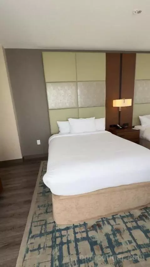 One-Bedroom Suite with Two Queen Beds bed picture #6