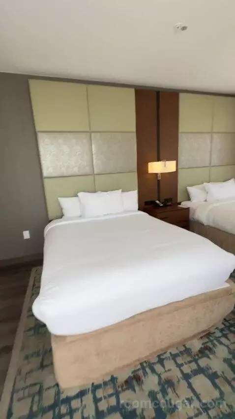 One-Bedroom Suite with Two Queen Beds bed picture #8