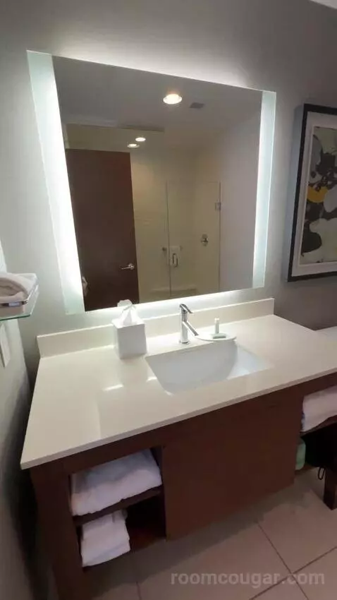 One-Bedroom Suite with Two Queen Beds bathroom picture #7