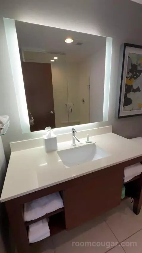 One-Bedroom Suite with Two Queen Beds bathroom picture #8