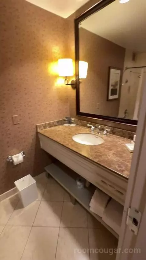 Deluxe Double Room with Two Double Beds and City View bathroom picture #3