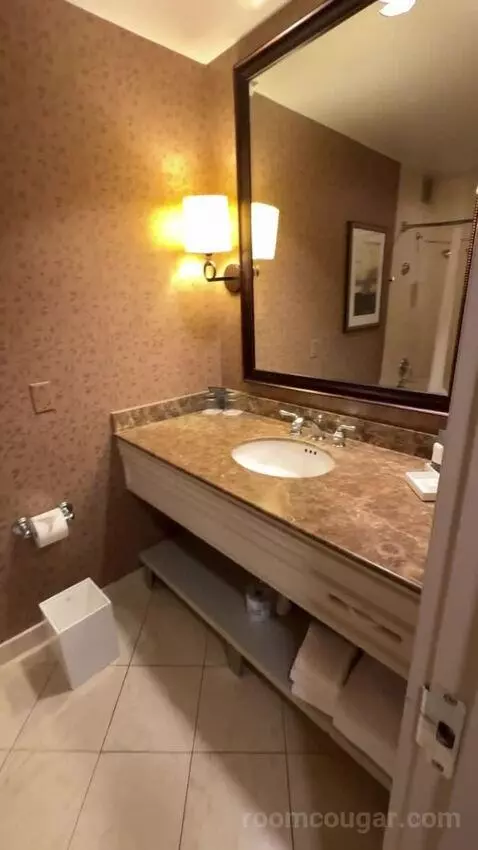 Deluxe Double Room with Two Double Beds and City View bathroom picture #4