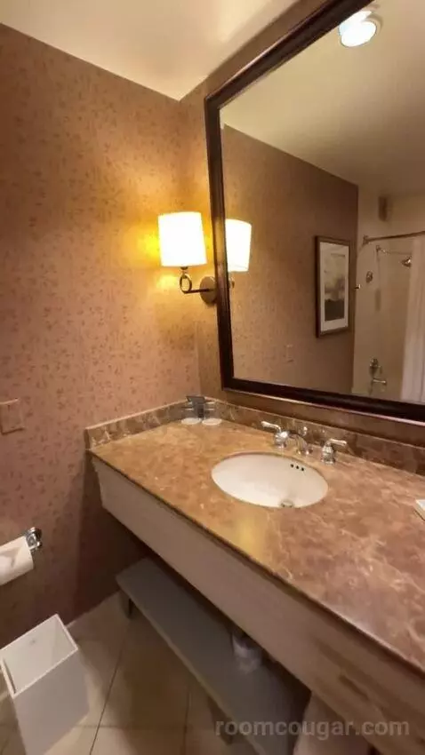 Deluxe Double Room with Two Double Beds and City View bathroom picture #5