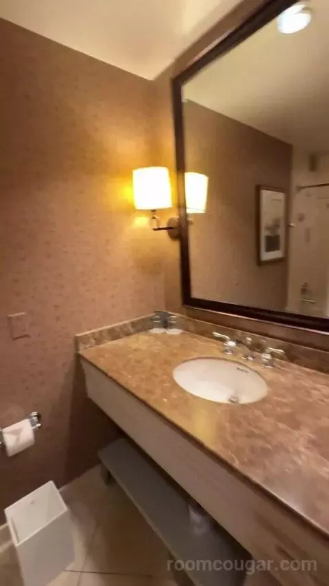 Deluxe Double Room with Two Double Beds and City View bathroom picture #6