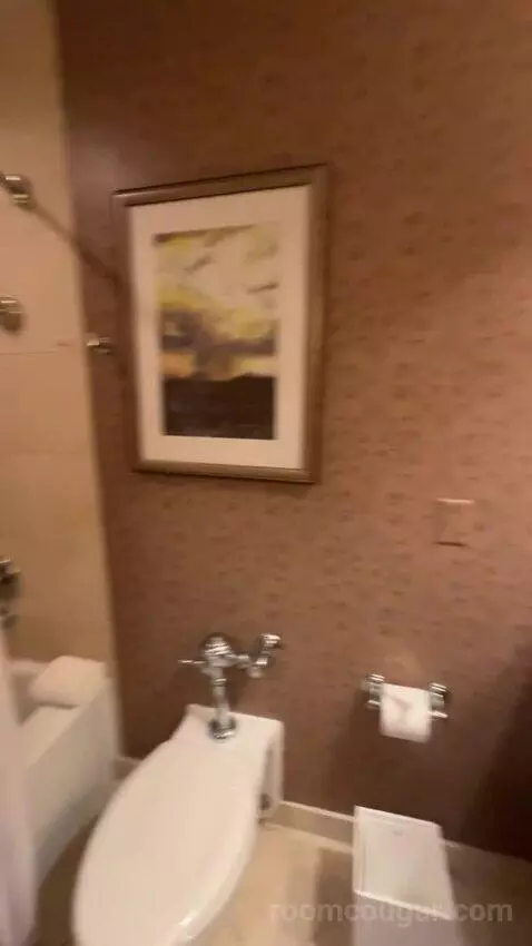 Deluxe Double Room with Two Double Beds and City View bathroom picture #7