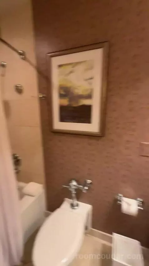 Deluxe Double Room with Two Double Beds and City View bathroom picture #8