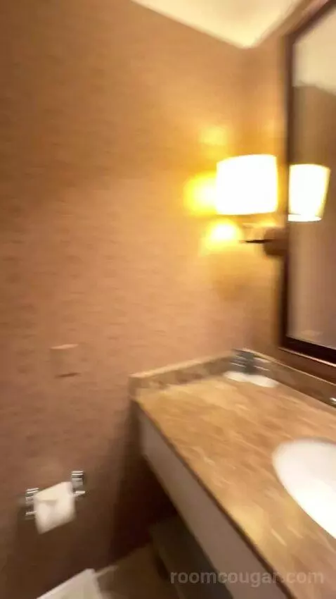 Deluxe Double Room with Two Double Beds and City View bathroom picture #11