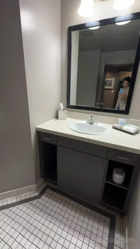 Executive Queen Suite bathroom picture #9
