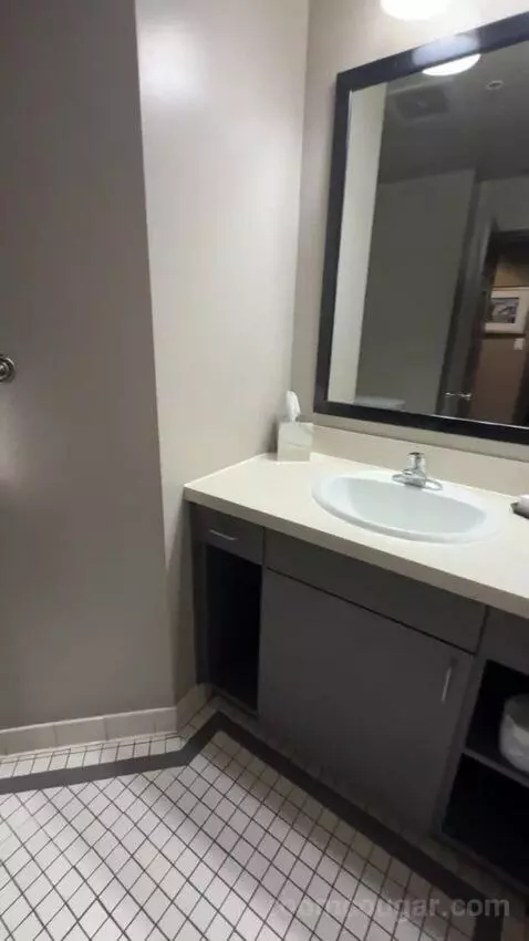 Executive Queen Suite bathroom picture #11