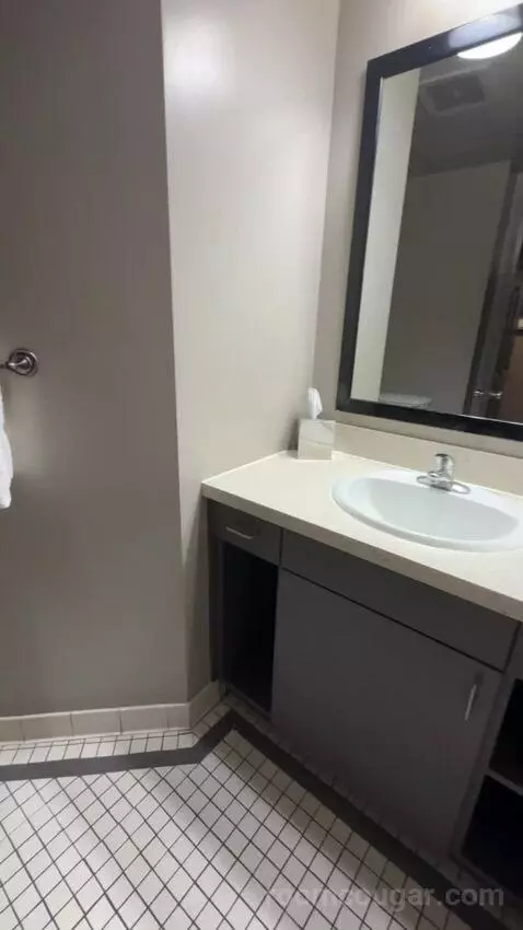 Executive Queen Suite bathroom picture #12
