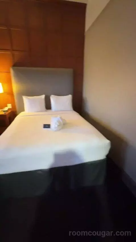 Executive Queen Suite bed picture #3