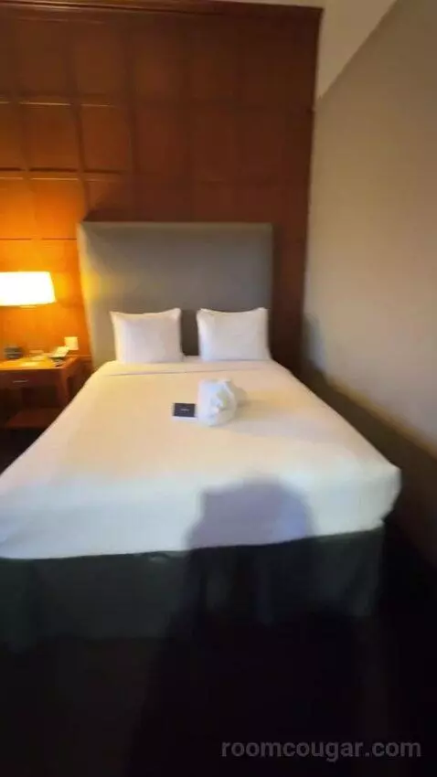 Executive Queen Suite bed picture #4