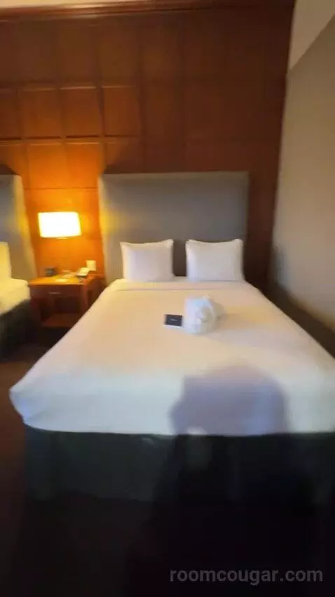 Executive Queen Suite bed picture #5
