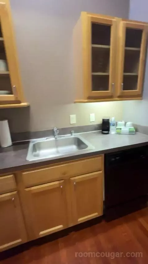 Executive Queen Suite bathroom picture #3
