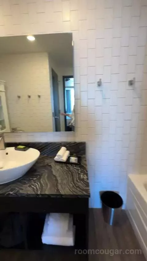 Cake Premium King bathroom picture #11