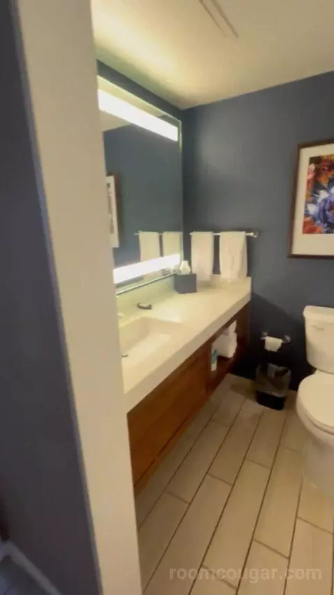 Two Double Bed Suite with Golf Course View bathroom picture #8