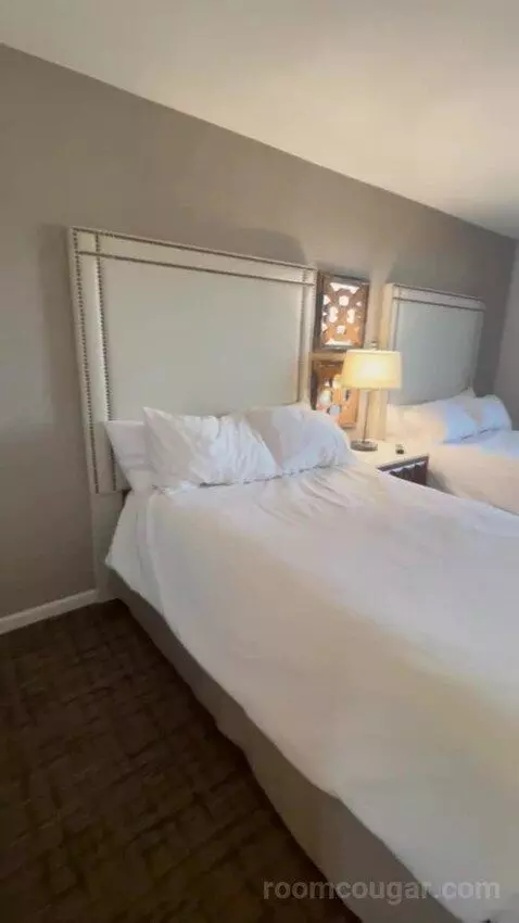 Two Double Bed Suite with Golf Course View picture #18