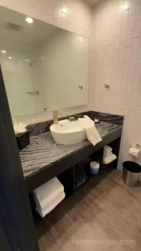 Deluxe Double Queen Room bathroom picture #4