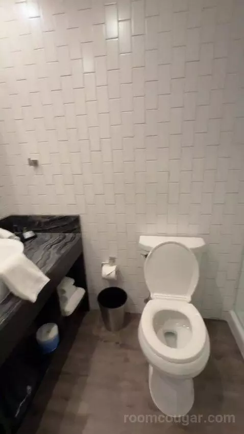 Deluxe Double Queen Room bathroom picture #5