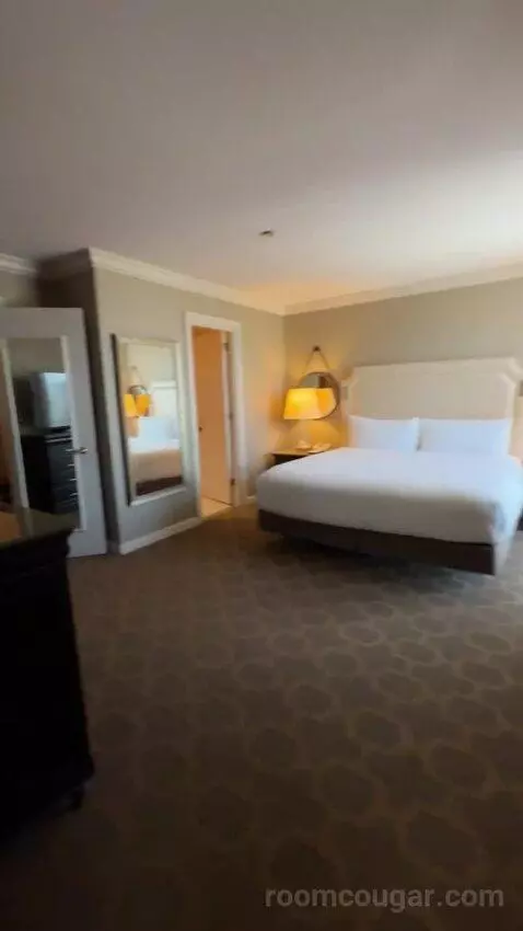 One-Bedroom King Suite with City View bed picture #8