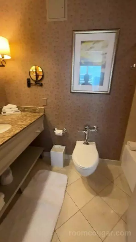 One-Bedroom King Suite with City View bathroom picture #3