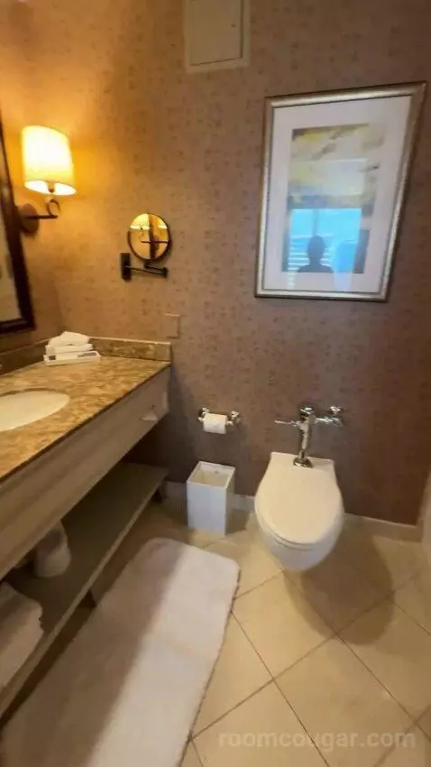 One-Bedroom King Suite with City View bathroom picture #4