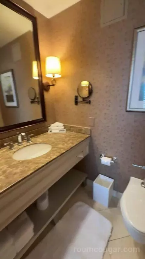 One-Bedroom King Suite with City View bathroom picture #5