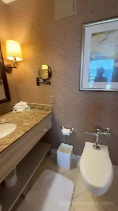 One-Bedroom King Suite with City View bathroom picture #7