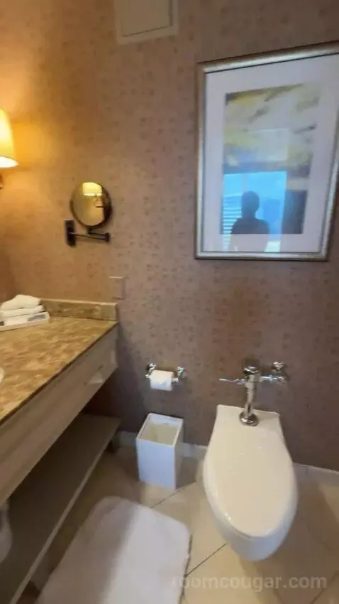 One-Bedroom King Suite with City View bathroom picture #8