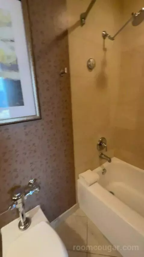 One-Bedroom King Suite with City View bathroom picture #9