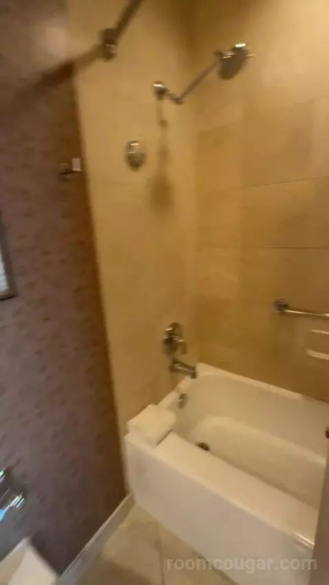 One-Bedroom King Suite with City View bathroom picture #11